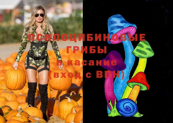 дмт Алексин