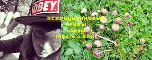 крисы Алексеевка